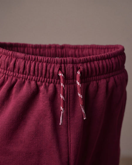 Hopper burgundy kids joggers, waistband and drawstring close-up