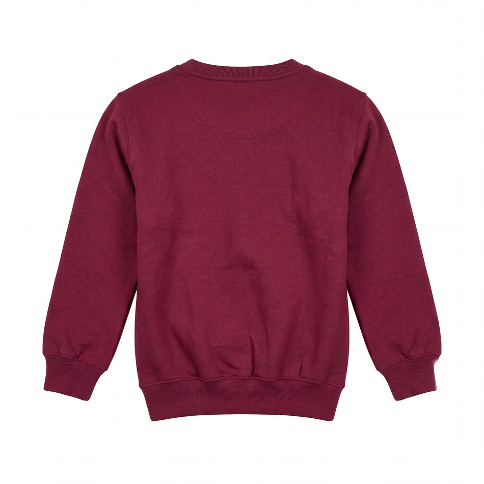 Kids Crewneck Sweater, wholesale kids garment